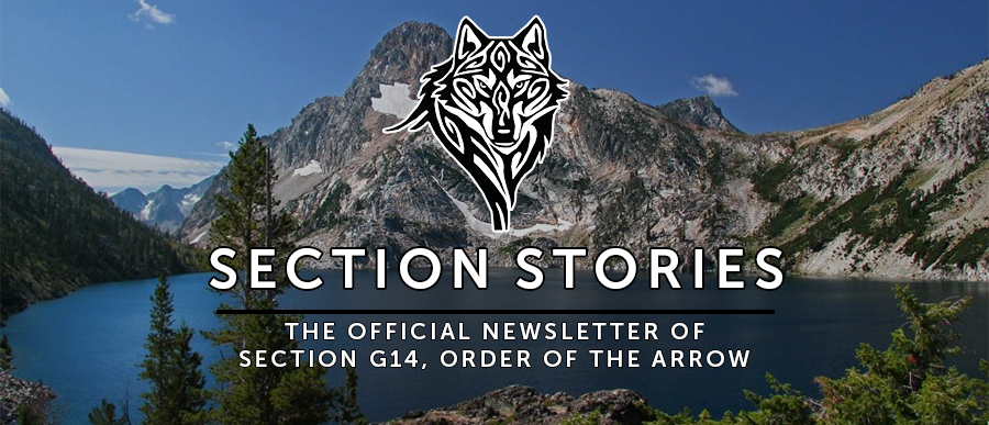 Section Stories Banner